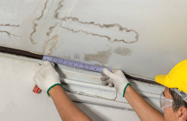 Reliable Mold Remediation contractor in Saint Francisville, LA by Water Damage Irwin